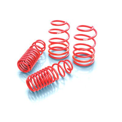 Pro Kit 11 - 13 Ford Mustang V6/V8 - Fenix Motorsports - Suspension and Components,Springs and Components,Coil Springs