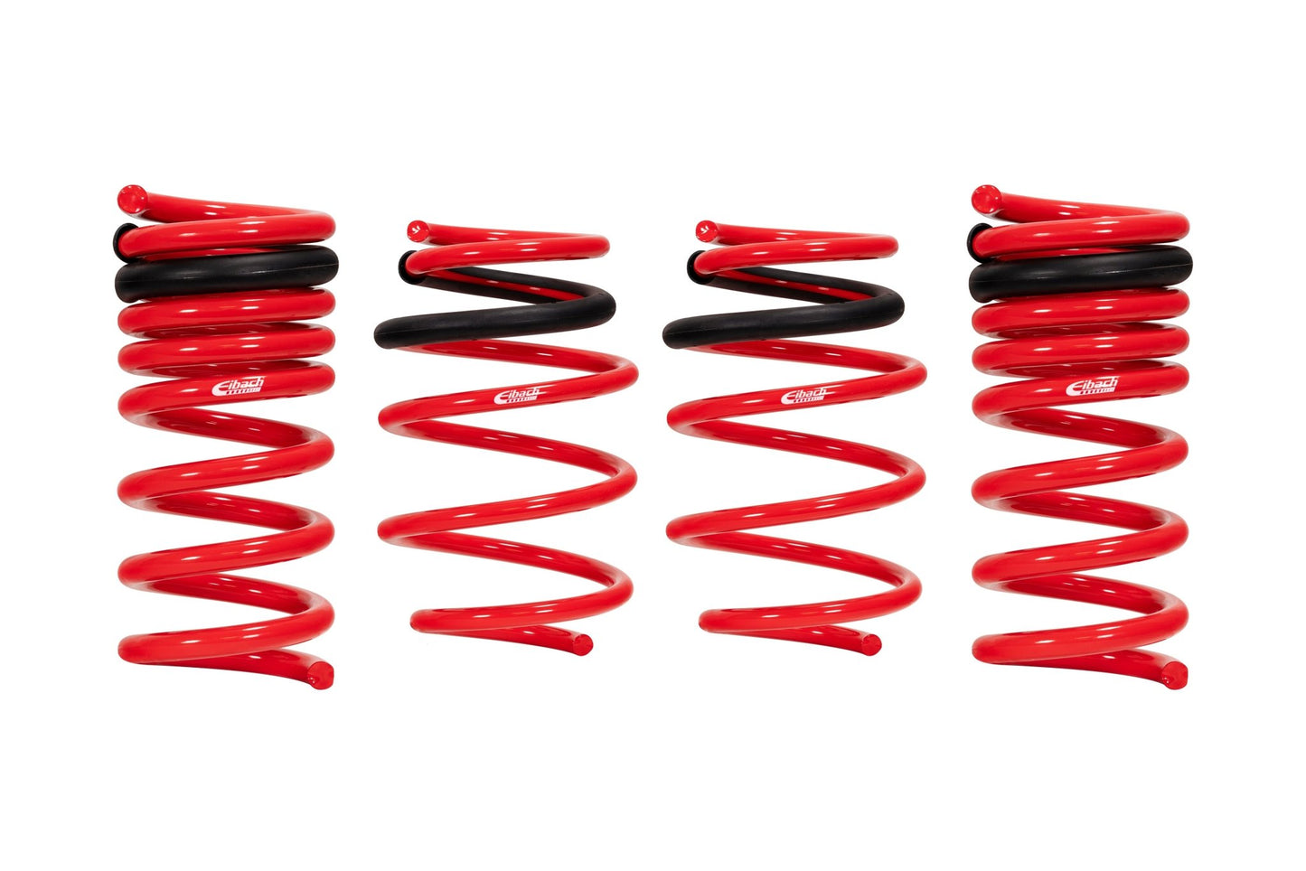 Pro Kit 2015 - 24 Dodge Charger - Fenix Motorsports - Suspension and Components,Springs and Components,Coil Springs
