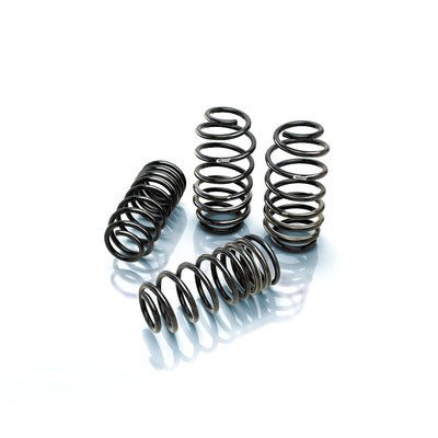 Pro Kit 94 - 04 Ford Mustang Convertible - Fenix Motorsports - Suspension and Components,Springs and Components,Coil Springs