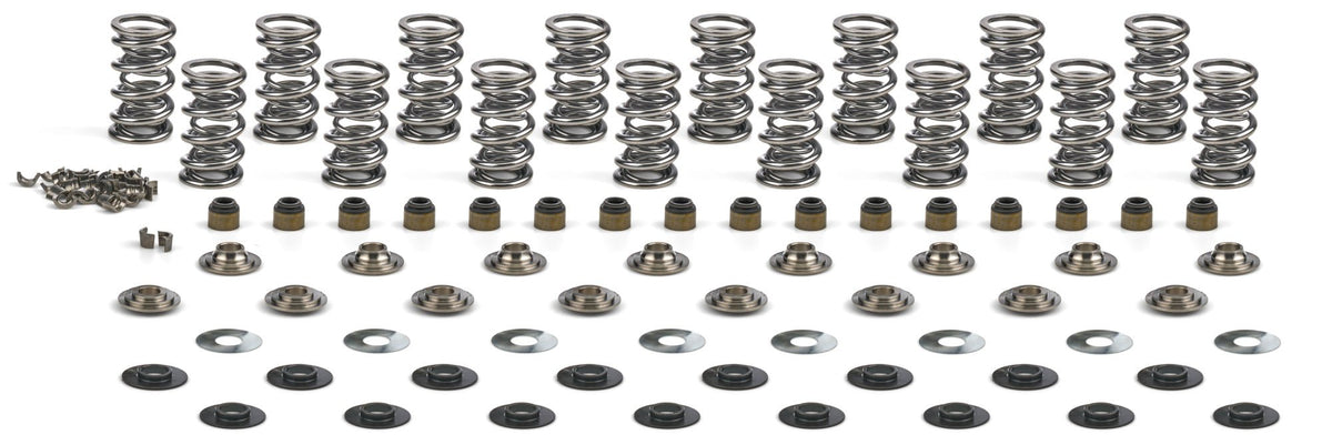 BTR Platinum Gen V LT4 Dual Valve Spring Kit | .660 in Lift - Fenix Motorsports LLC - Engines and Components,Camshafts and Valvetrain,Valve Springs