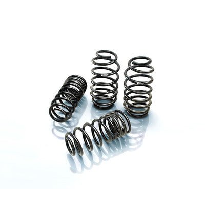 Pro - Kit 06 - 08 Dodge Charger - Fenix Motorsports - Suspension and Components,Springs and Components,Coil Springs