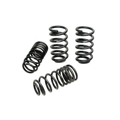 Pro Kit 06 - 10 Grand Cherokee - Fenix Motorsports - Suspension and Components,Springs and Components,Coil Springs
