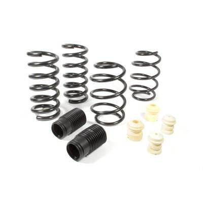 Pro Kit 2015 - 21 Ford Mustang - Fenix Motorsports - Suspension and Components,Springs and Components,Coil Springs
