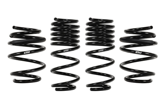 Pro Kit 2017 - 21 Honda Civic Type R - Fenix Motorsports - Suspension and Components,Springs and Components,Coil Springs