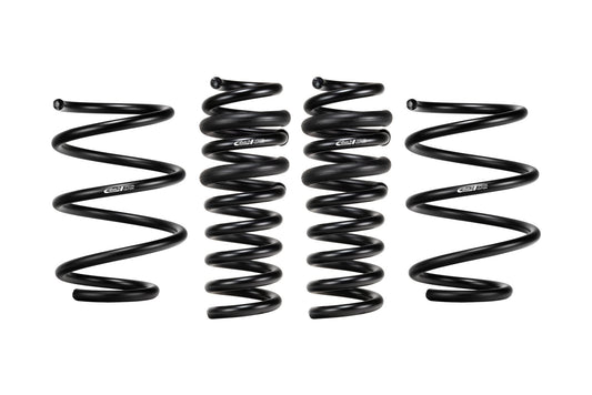 Pro Kit 2022 - 25 CT5 - V Cadillac Blackwing - Fenix Motorsports - Suspension and Components,Springs and Components,Coil Springs