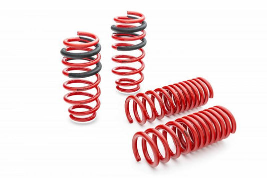 Pro - Kit Dodge 2015 SRT / HellCat (Set of 4) - Fenix Motorsports - Suspension and Components,Springs and Components,Coil Springs