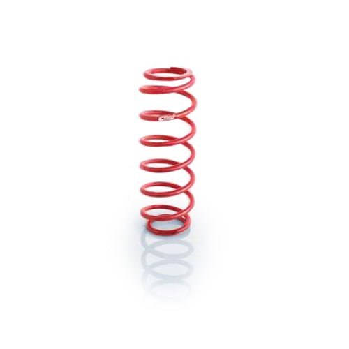 Spring C/O Ext Travel 2.5in ID x 6in - Fenix Motorsports - Suspension and Components,Springs and Components,Coil Springs